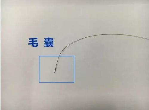 想做個(gè)人親子鑒定，頭發(fā)可以鑒定嗎？
